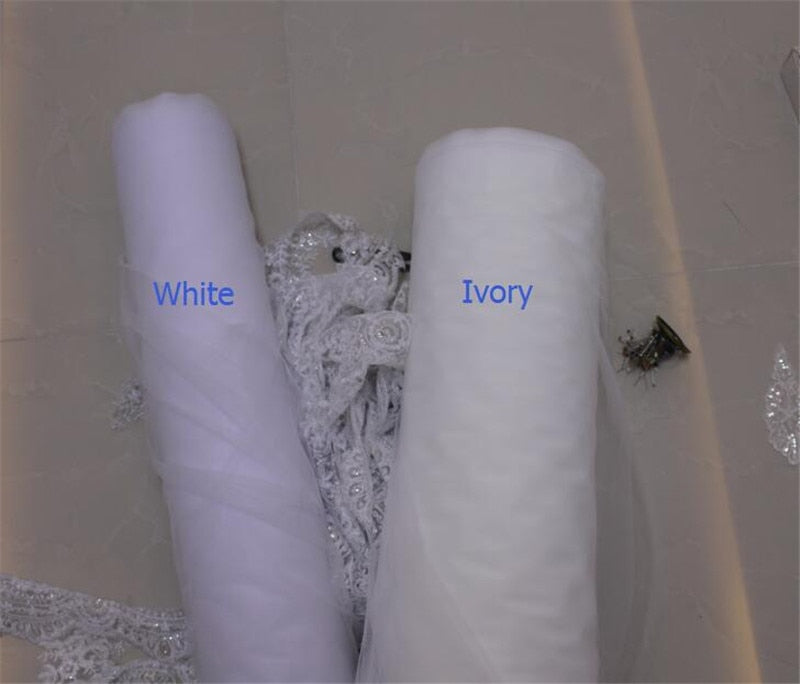 4m Cathedral Length Lace Veil White and Ivory Colour