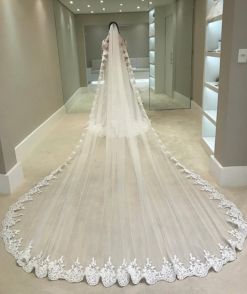 4m Cathedral Length Lace Veil Full Body
