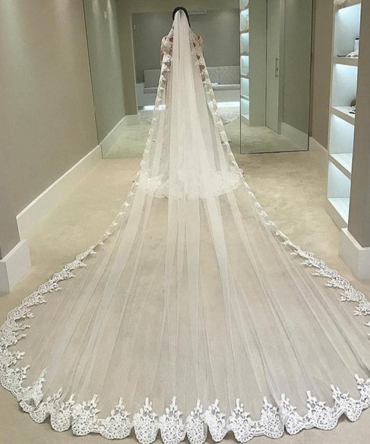 4m Cathedral Length Lace Veil